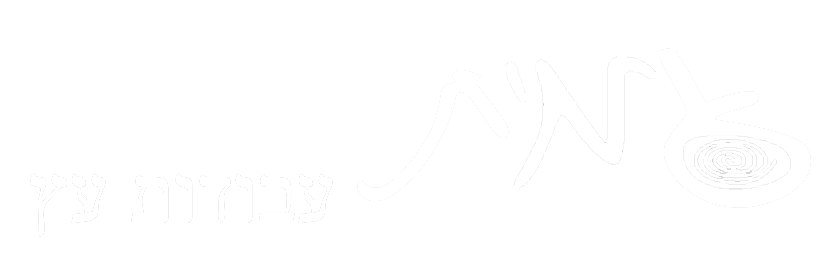 עמית עיצובים בעץ
